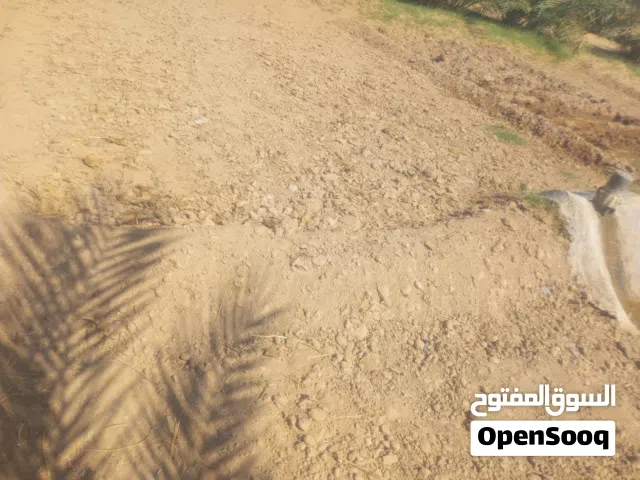 تربه زراعيه