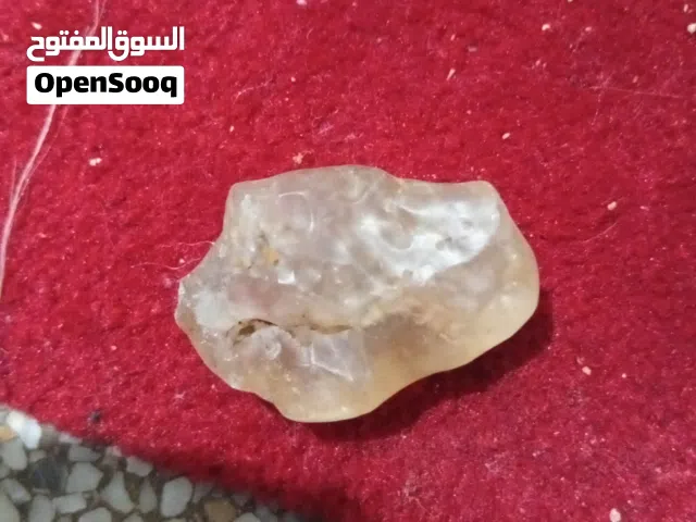 حجرة غريبة بداخلها حشرة