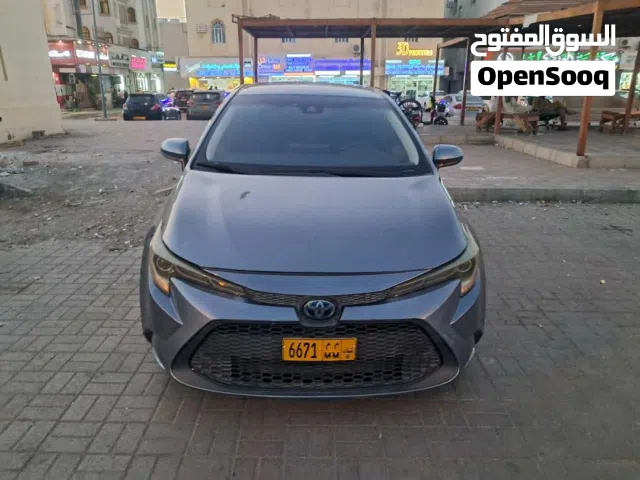 Used Toyota Corolla in Muscat