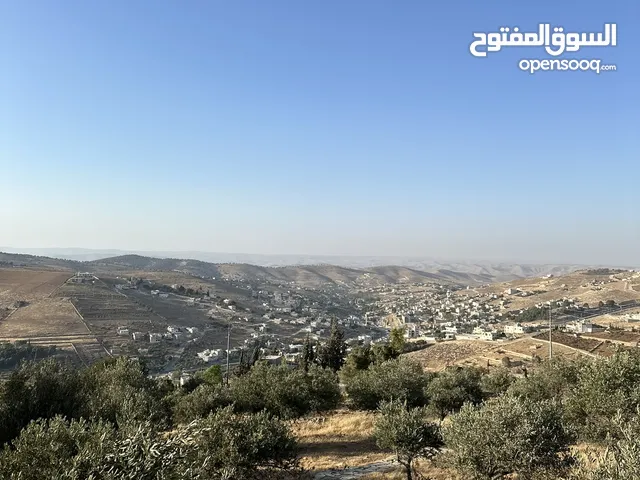 Residential Land for Sale in Zarqa Um Rummanah