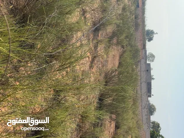 Mixed Use Land for Sale in Tripoli Tajura