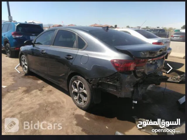 سيارة مانقصها شي جديد