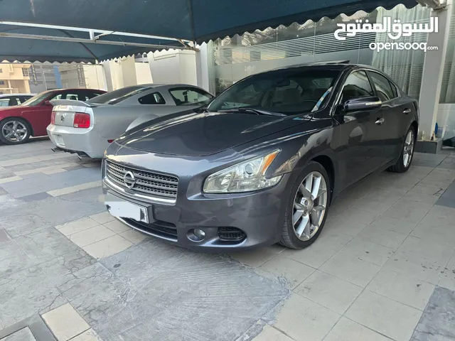 للبيع مكسيما موديل 2011