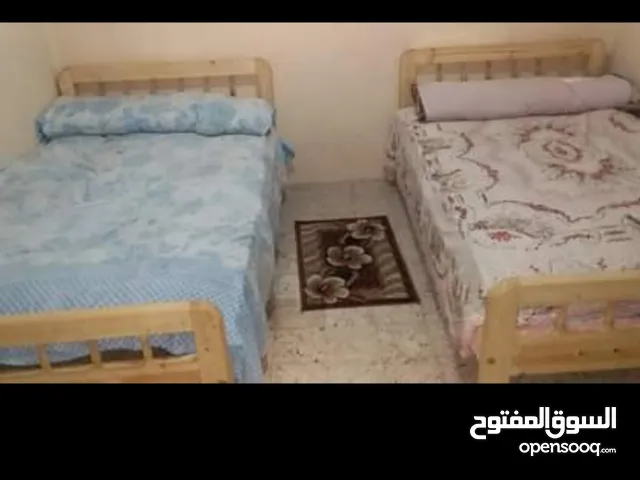 Furnished Monthly in Mansoura Other