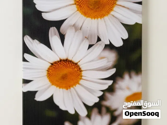 مجموعة لوحات مع بعضها  متنوعة وراقية للغرف والمطابخ والصالون
