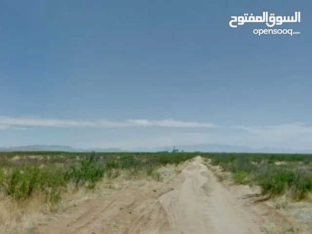 Exclusive Residential Plot for Sale in AL YALAYIS on the main roadقطعة أرض سكنية مميزة للبيع في اليل