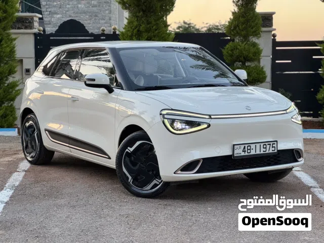 2023 Dongfeng Nammi Box