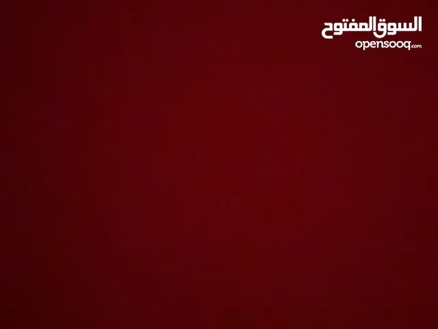 سيف الدين بلال