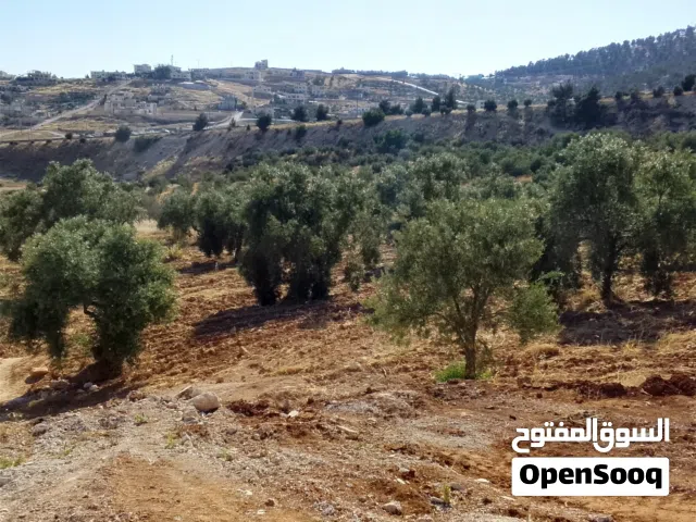 Mixed Use Land for Sale in Jerash Other