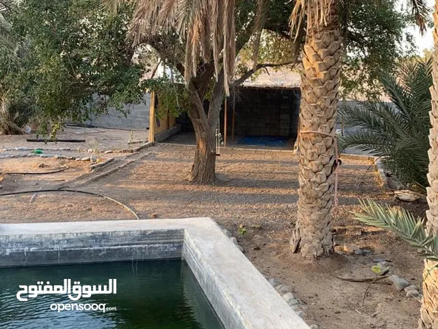 4 Bedrooms Farms for Sale in Al Sharqiya Al Mudaibi