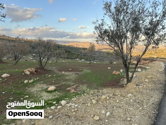 Farm Land for Sale in Zarqa Al-Alouk