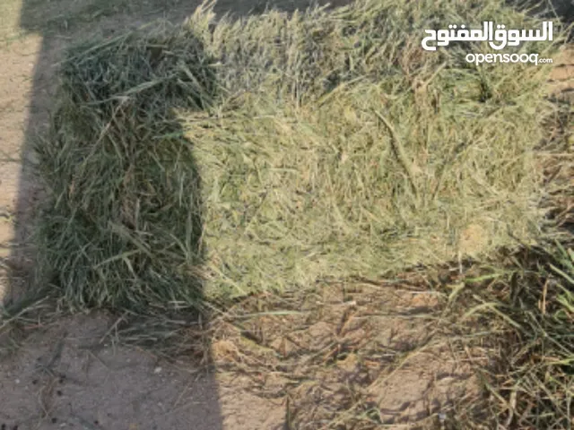 ربطات بلو بنك للبيع