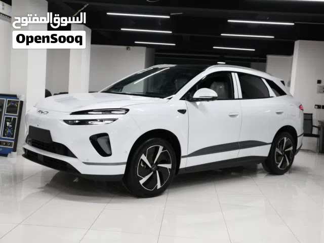 DMI BYD هجين ( كهرباء وبترول )2025