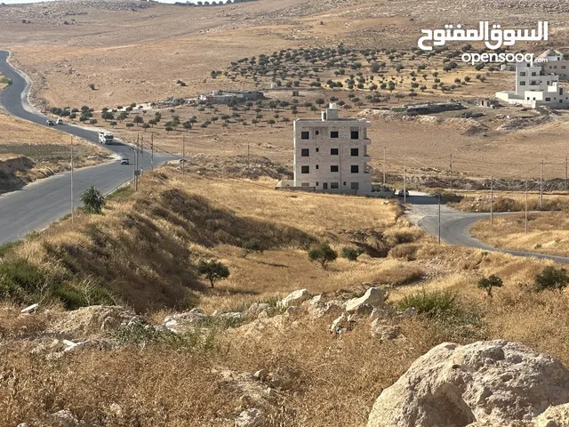 Residential Land for Sale in Amman Shafa Badran