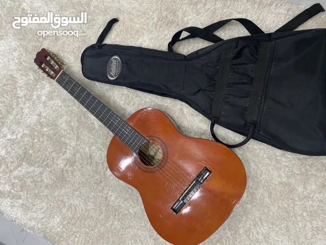 Ashton Guitar for Sale  جيتار اشتون للبيع