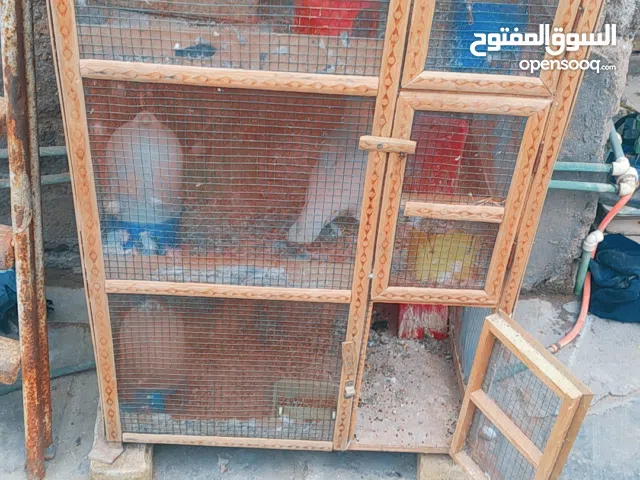 خانات طيور للبيع