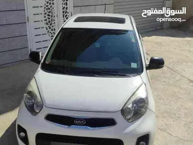 Used Kia Picanto in Adrar