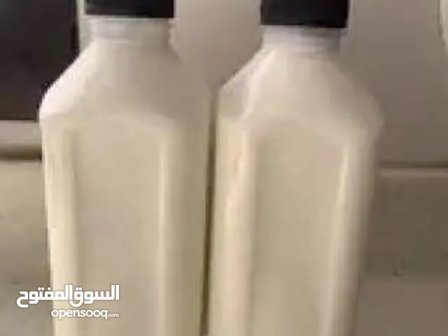 لبن ماعز انتاج يومي