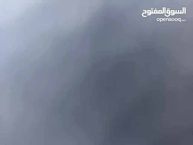 مطلوب شريك سكن في حي نزال