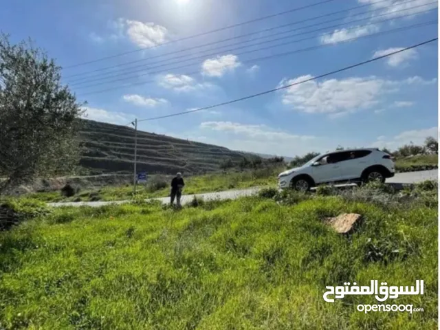 Residential Land for Sale in Nablus Sarra
