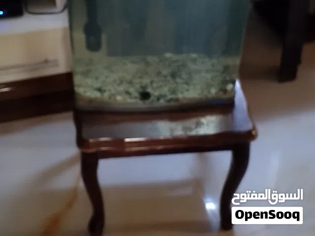 حوض سمك اوروبي بسعر مغري