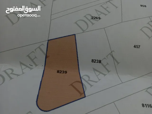 قطعة أرض الزرقاء حي الزواهرة لقطة وبسعر محروق المساحة 501 متر
