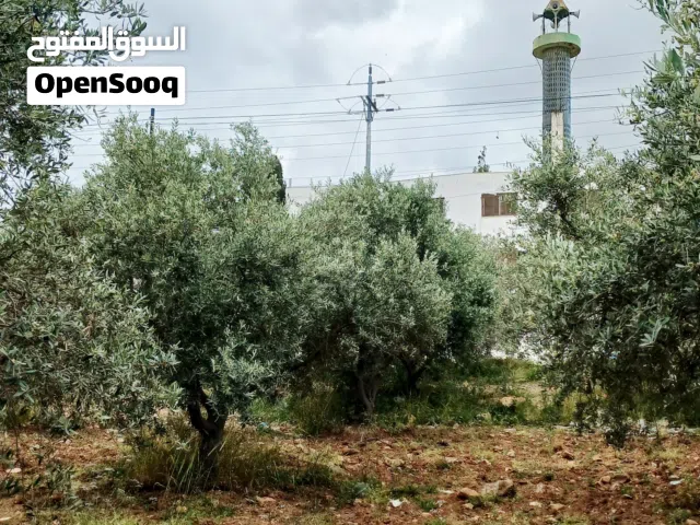 Mixed Use Land for Sale in Irbid An-Nuayyimah