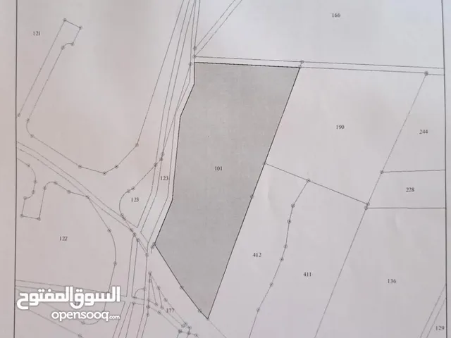 Farm Land for Sale in Mafraq Ain wa Al-Ma'mariyyeh