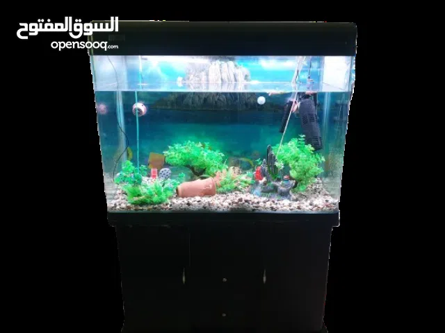 حوض سمك للبيع مع طاولة