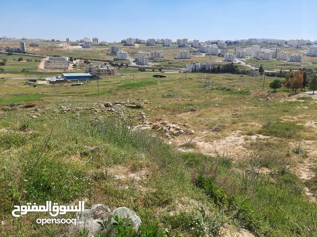 Residential Land for Sale in Zarqa Ar-Ruhayl