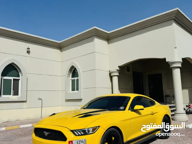 Mustang Eco boost full option