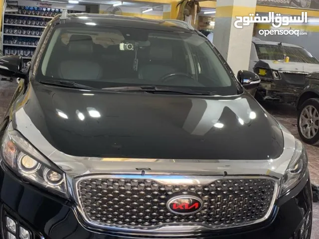 ابو وائل عليوي