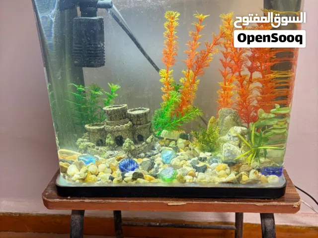 للبيع حوض سمك زينة  35 سم بمستلزماته