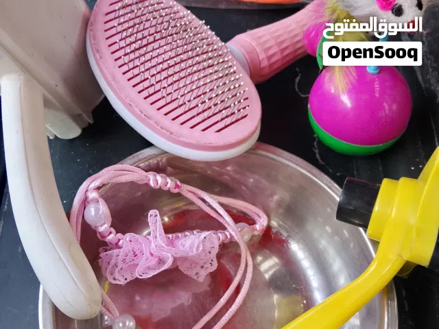 اكسسوارات قطط للبيع