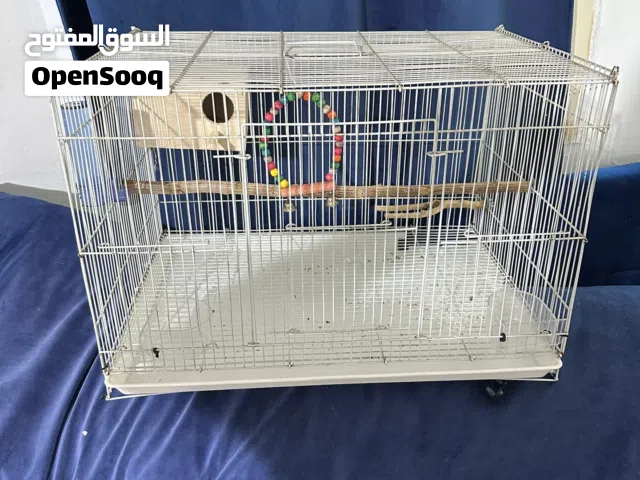 قفص كبير 60*40 مع مشتملاته وبيت للبيض