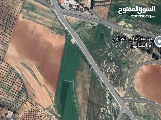 Farm Land for Sale in Amman Airport Road - Manaseer Gs