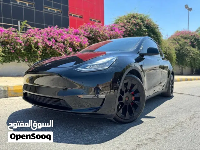 2020, تيسلا, موديل Y, Long Range