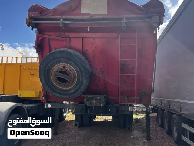 دنبر منيرفا