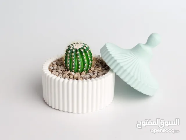 تحف جبس ديكور