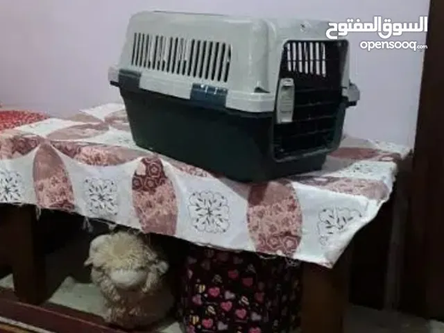 مستلزمات واكسسوارات الحيوانات قطط كلاب اقفاص في مصر