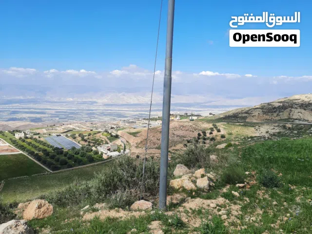 Farm Land for Sale in Salt Al Maghareeb
