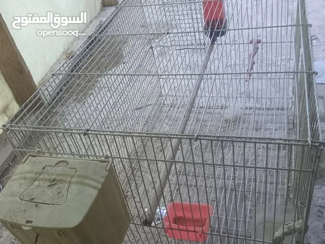 ب15 مع كل الملحقات