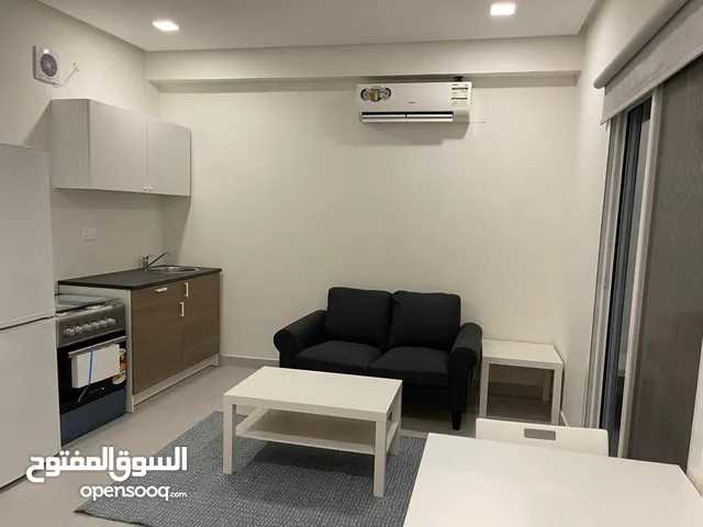 Modern furnished apartment in Saar