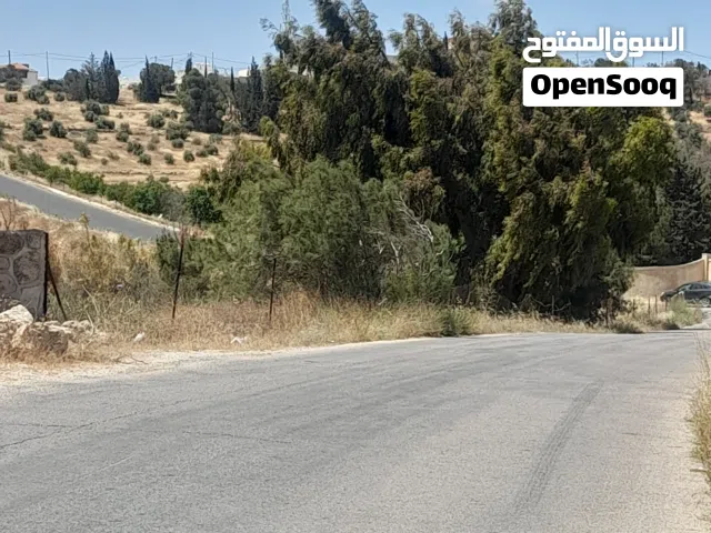 Residential Land for Sale in Amman Shafa Badran