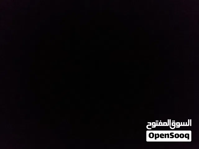 مطلوب جرو جيرمين بصحة جيدة للتبني