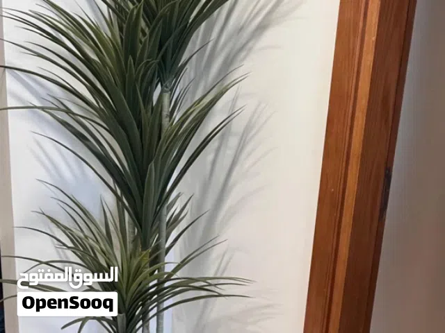 نبتة صناعية أنيقة بحالة ممتازة......Artificial Decorative Plant with Pot