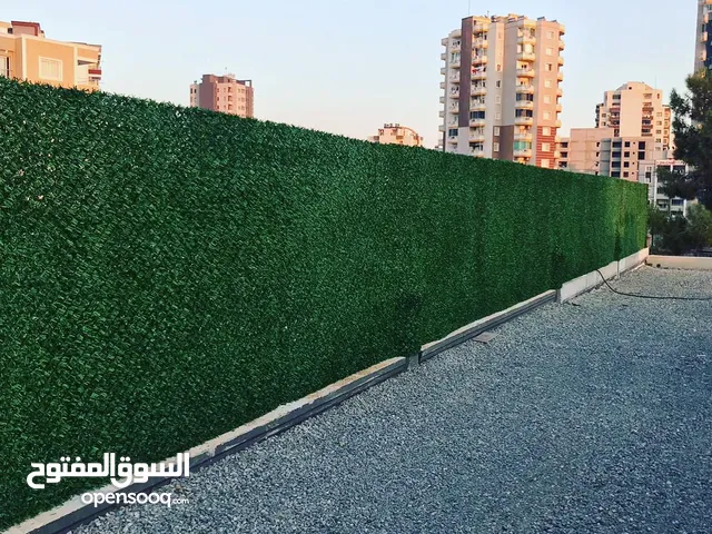 السياج العشبي التركي جملة