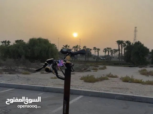 Vsett+10 electric scooter