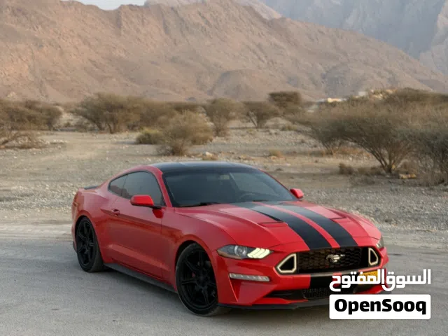 2019 فورد موستانج EcoBoost