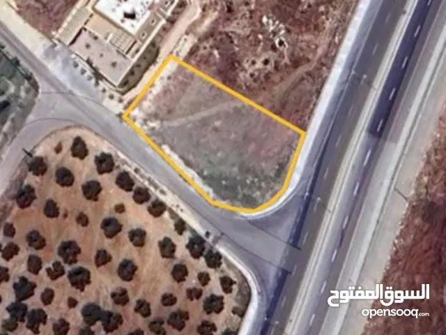 Residential Land for Sale in Amman Abu Alanda
